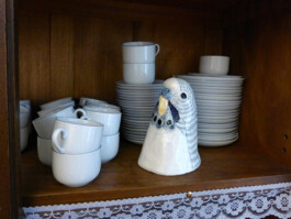 Büste von einem Wellensittich aus Ton in einer Vitrine