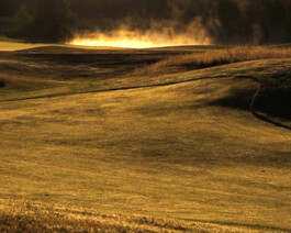 Filmstill von einem Feld über dem Nebel aufsteigt.