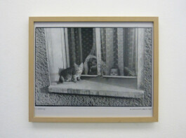 Eine Fotografie von einer Katze und zwei Kindern, die aus dem Fenster schauen.