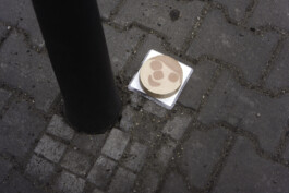 Eine Packung Gesichtswurst, die auf der Straße liegt.