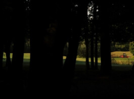 Filmstill von einem Waldstück, im Hintergrund ein Wiese.