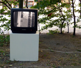 Fernseher in einem Garten.