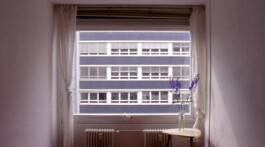Filmstill von einem Raum mit Tisch und Blumenvase mit Ausblick auf die Fassade gegenüber.