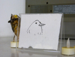 Eine Zeichnung von einem Vogel auf einem Blatt Klopapier.