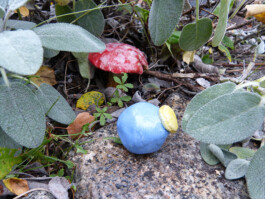 Pilz und Comic-Figur aus Ton in einem Kräuterbeet.