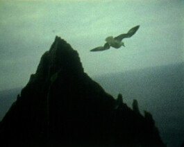 Filmstill von einem Berg und einer fliegenden Möwe.